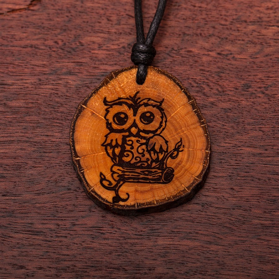 Eule Kette Epoxidschmuck mit Naturholz