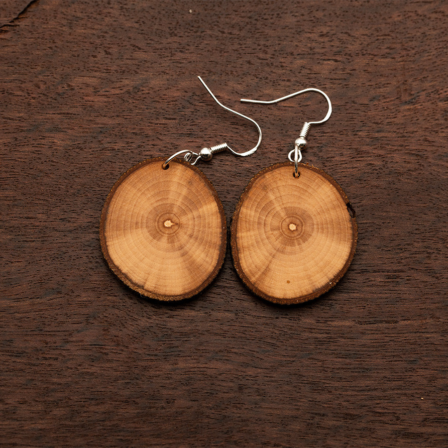 Apfel 4840 Ohrringe Epoxidschmuck mit Naturholz