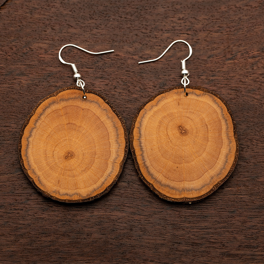 Erle 4866 Ohrringe Epoxidschmuck mit Naturholz