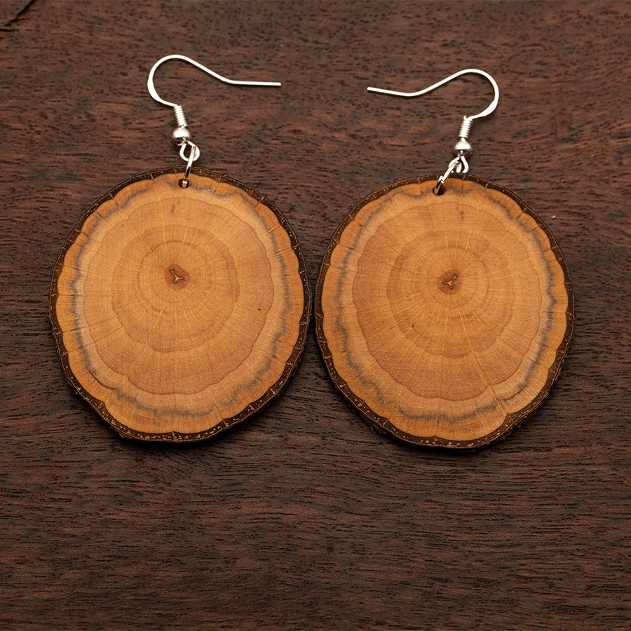 Erle 4868 Ohrringe Epoxidschmuck mit Naturholz