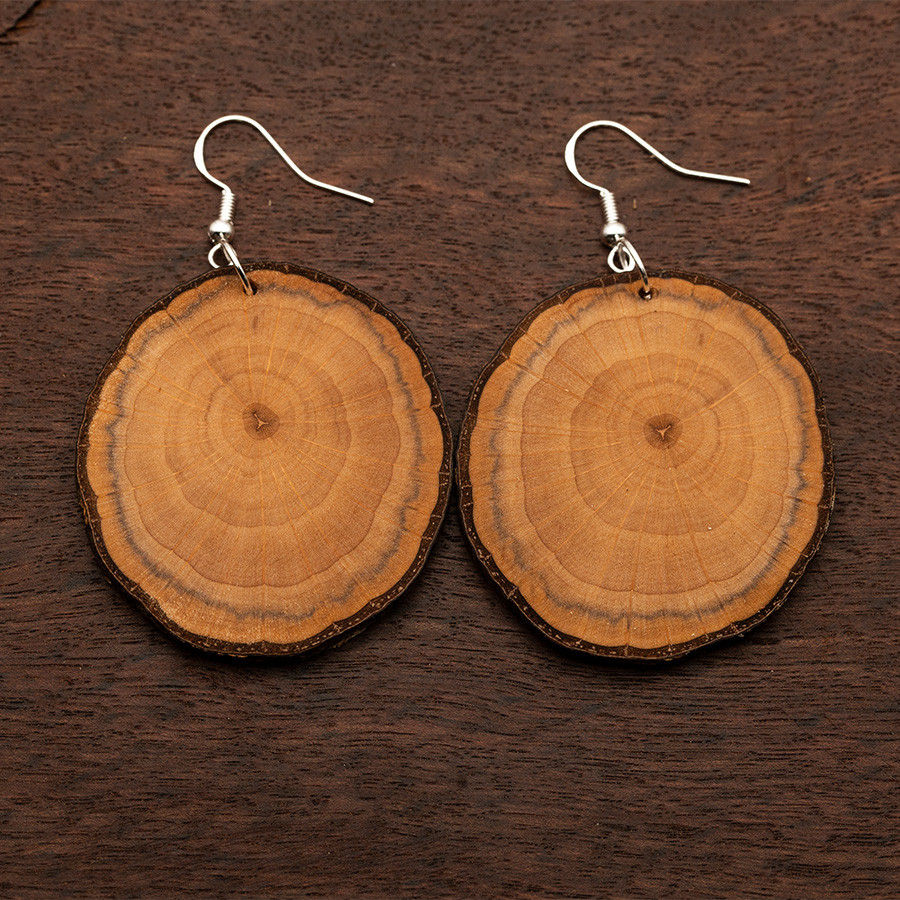 Erle 4869 Ohrringe Epoxidschmuck mit Naturholz